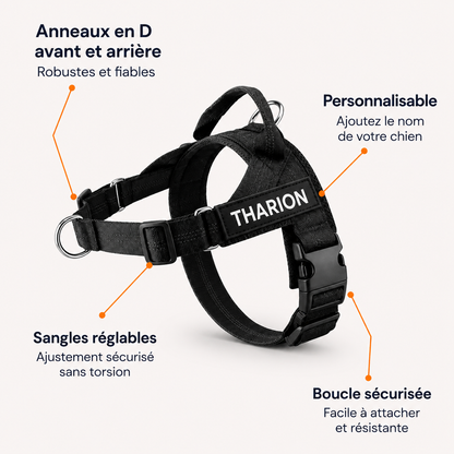 Harnais Anti-Traction THARION™